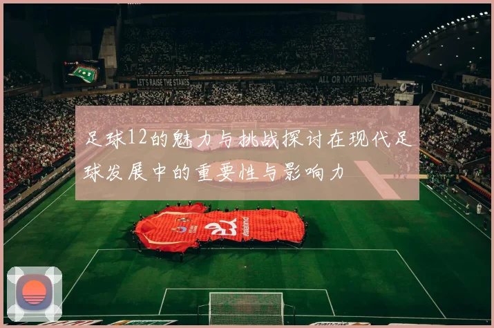 足球12的魅力与挑战探讨在现代足球发展中的重要性与影响力