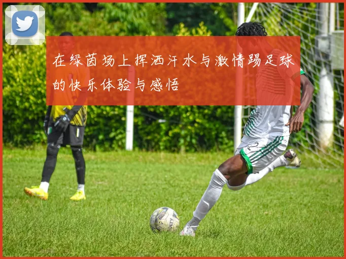 在绿茵场上挥洒汗水与激情踢足球的快乐体验与感悟