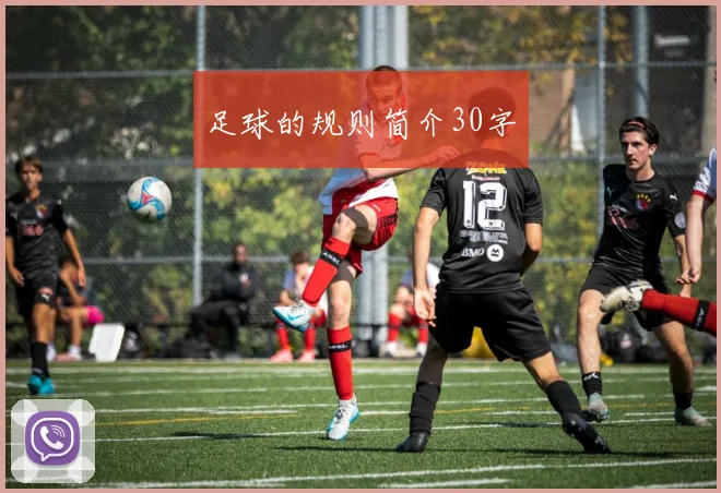 足球的规则简介30字