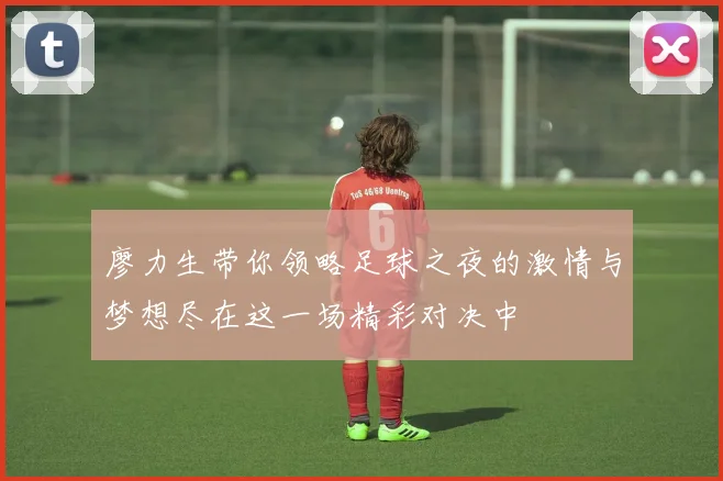 廖力生带你领略足球之夜的激情与梦想尽在这一场精彩对决中
