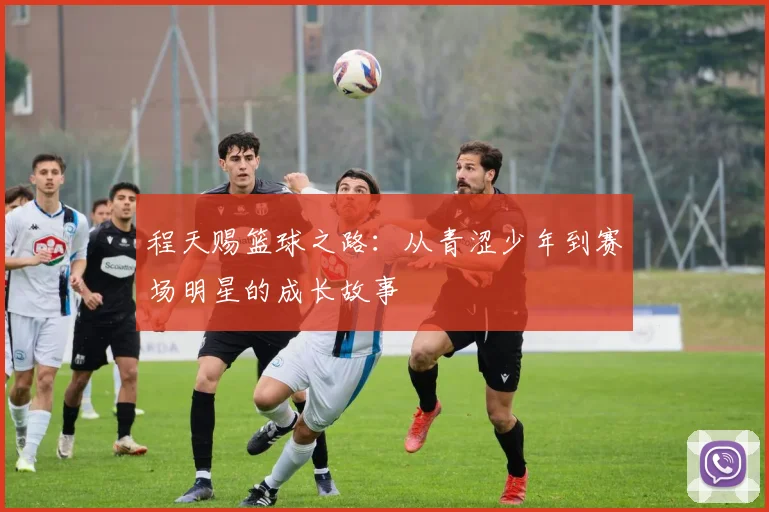 程天赐篮球之路：从青涩少年到赛场明星的成长故事