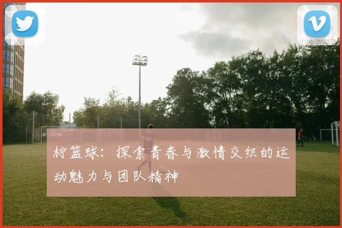 柠篮球：探索青春与激情交织的运动魅力与团队精神