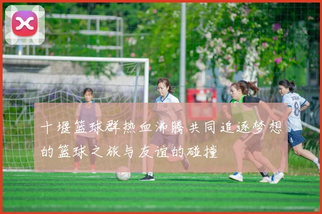 十堰篮球群热血沸腾共同追逐梦想的篮球之旅与友谊的碰撞